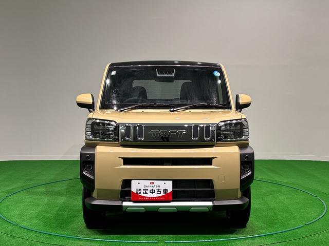 Daihatsu Taft 6
