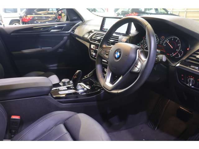 BMW X3 10