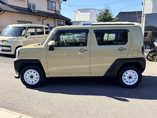 Daihatsu Taft 9