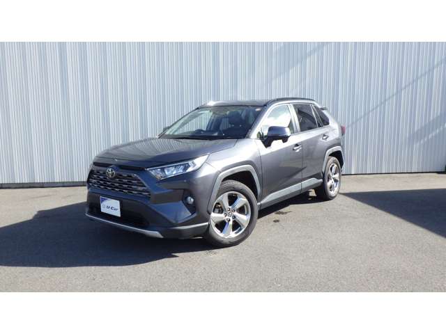 Toyota RAV4 11