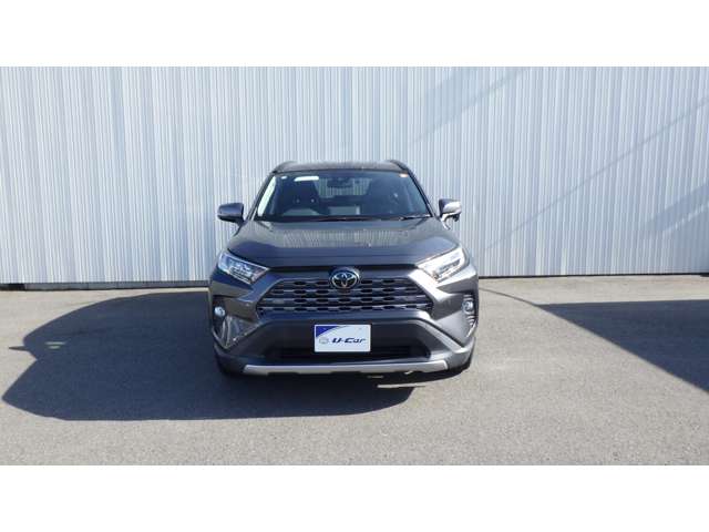 Toyota RAV4 12