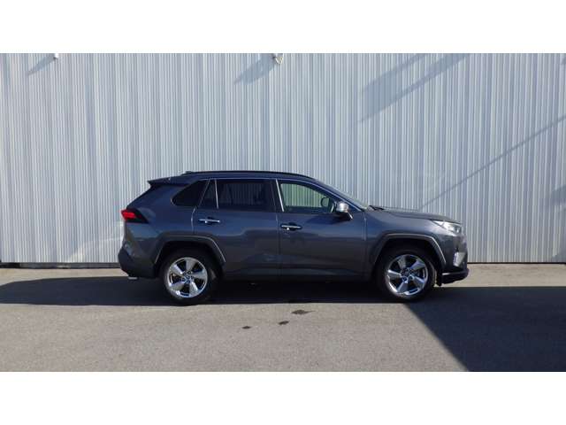 Toyota RAV4 6
