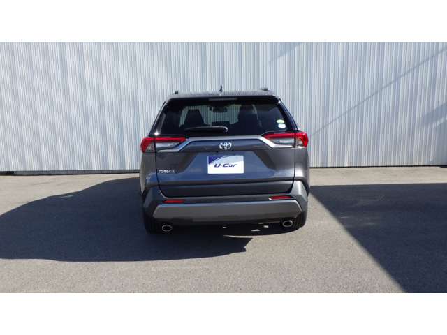 Toyota RAV4 8