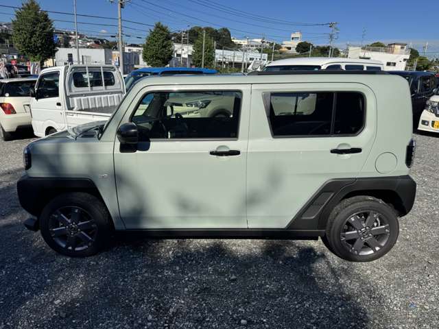 Daihatsu Taft 8