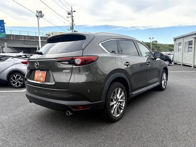 Mazda CX-8 12