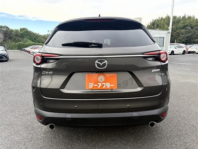 Mazda CX-8 13