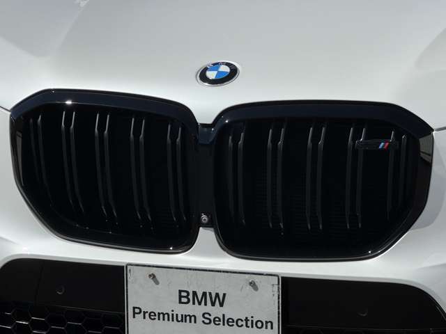 BMW X5 M 11