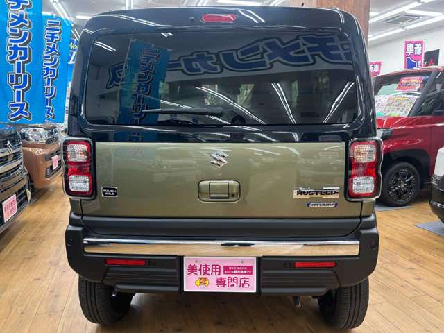Suzuki Hustler 11