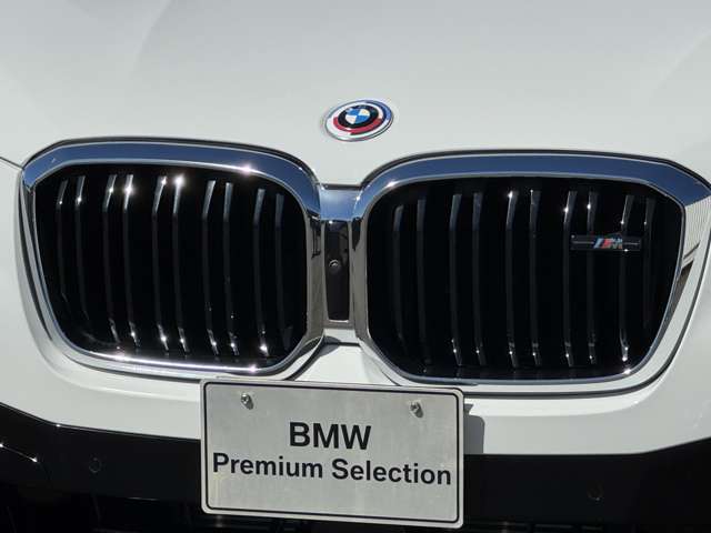BMW X3 10