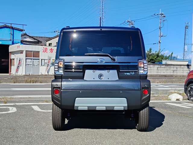 Daihatsu Taft 11