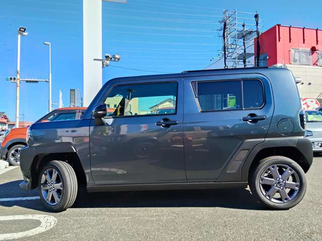 Daihatsu Taft 9