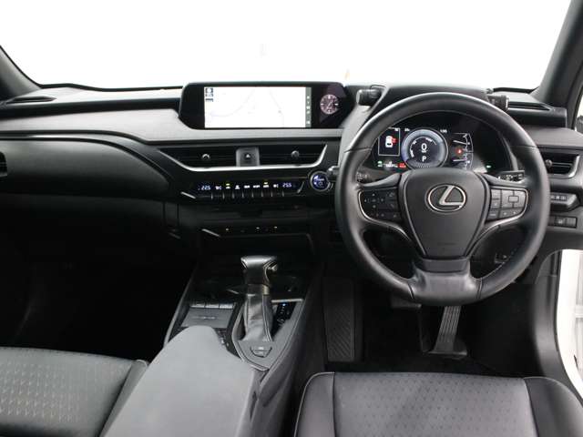Lexus UX 12