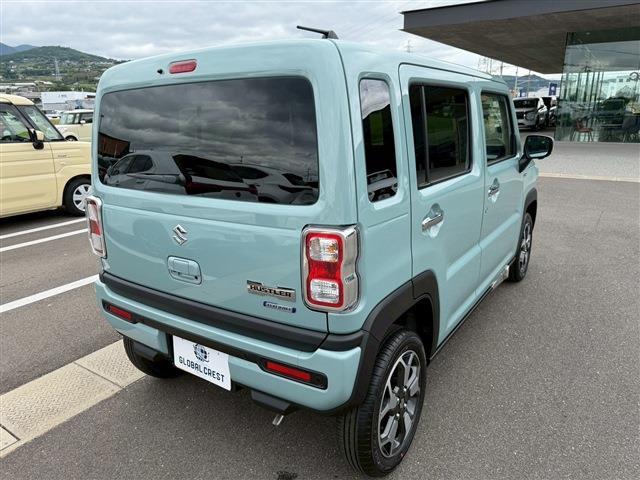 Suzuki Hustler 6