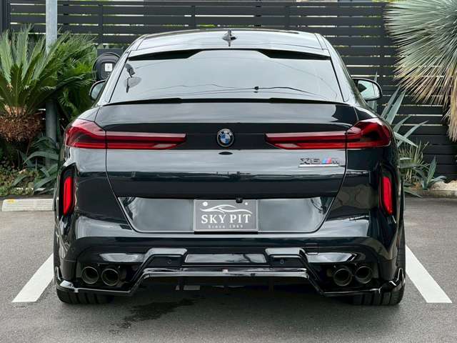 BMW X6 M 8