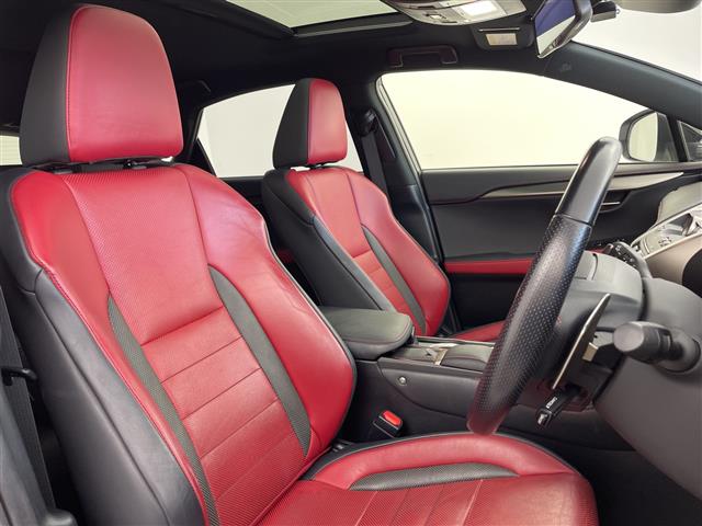 Lexus NX 11