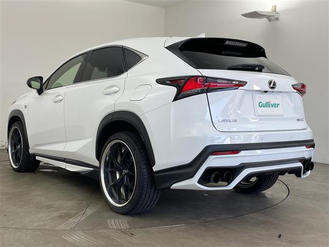 Lexus NX 3