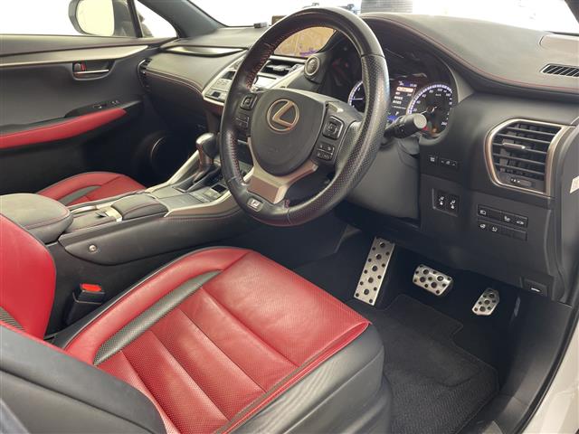 Lexus NX 10