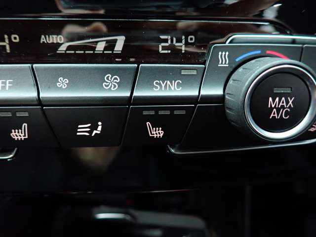 BMW X1 8