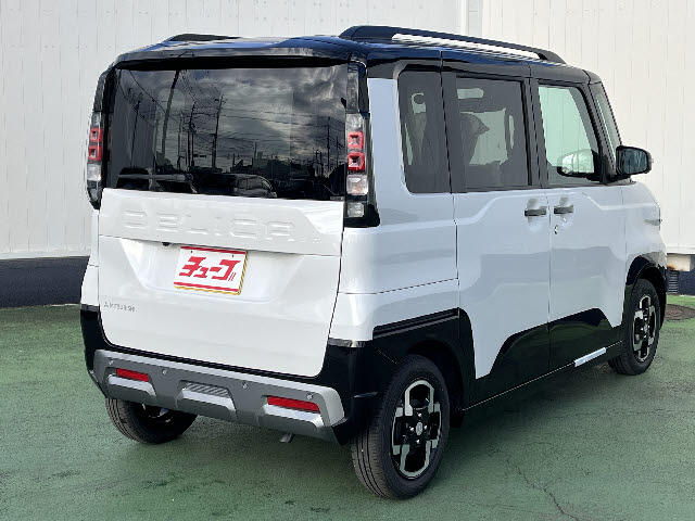 Mitsubishi Delica Mini 5