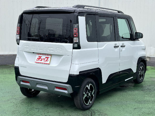 Mitsubishi Delica Mini 5