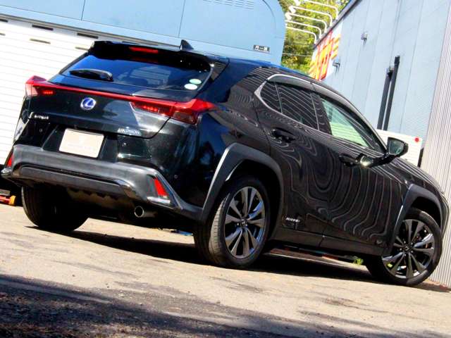 Lexus UX 6