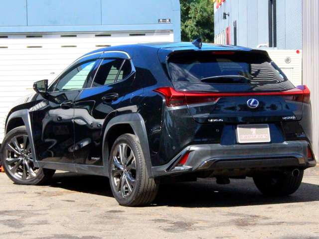 Lexus UX 7