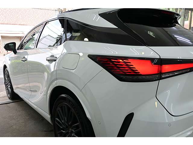 Lexus RX 11