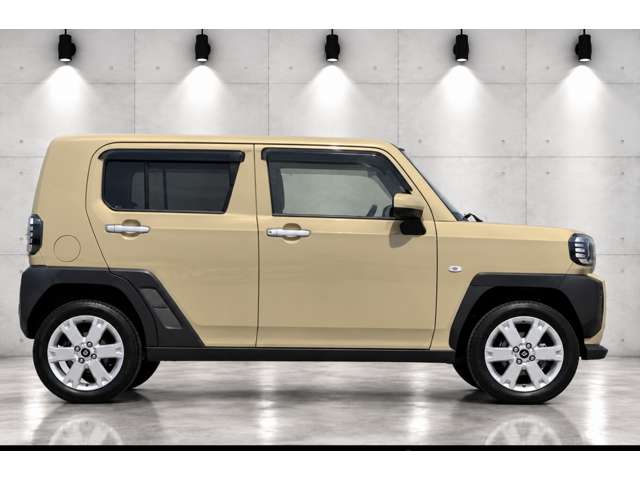 Daihatsu Taft 6