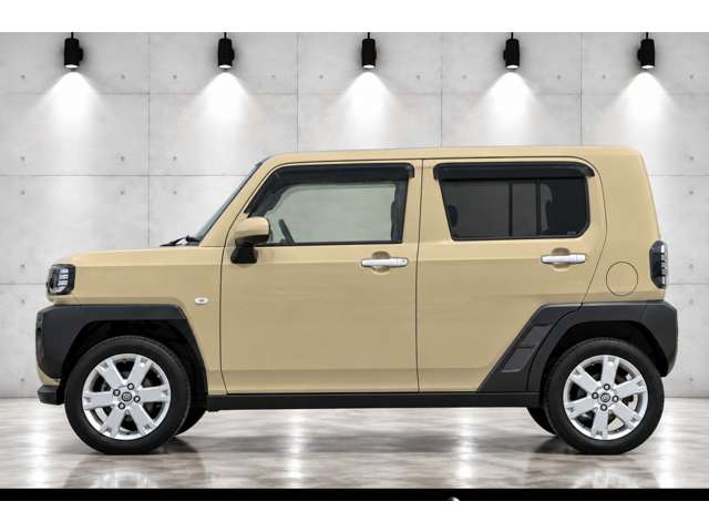 Daihatsu Taft 8