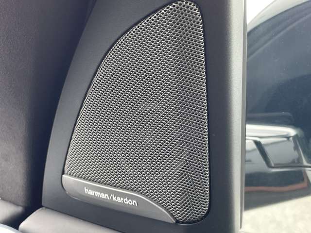 BMW X7 9