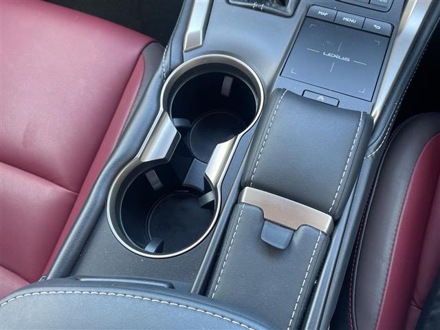 Lexus NX 11