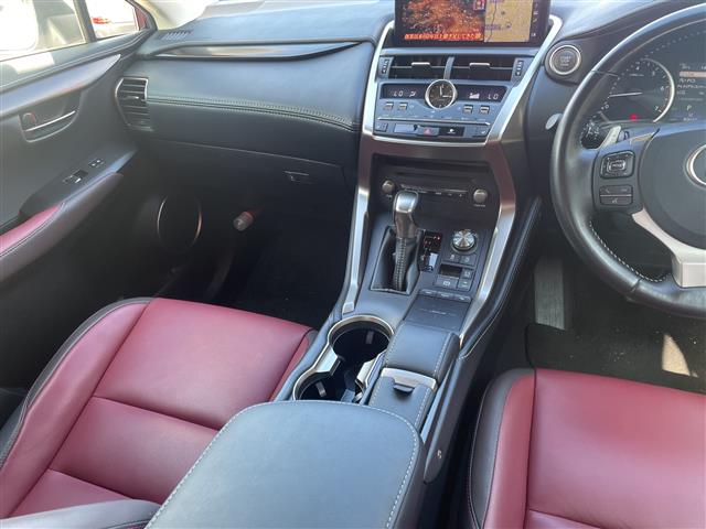 Lexus NX 4