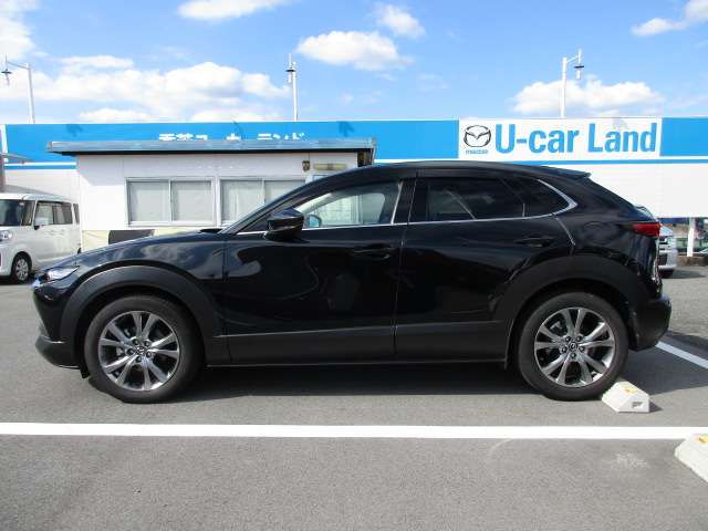 Mazda CX-30 6