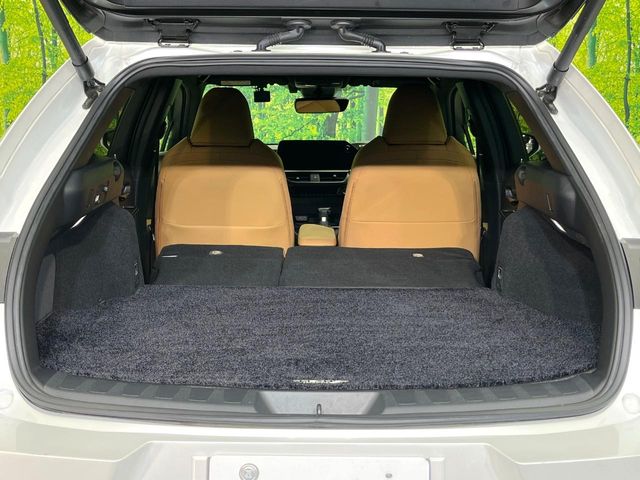 Lexus UX 11