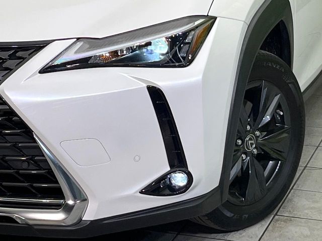 Lexus UX 12