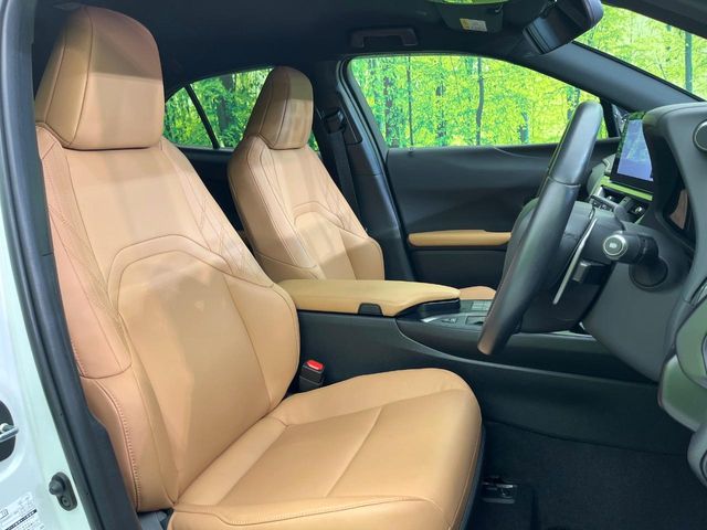 Lexus UX 9