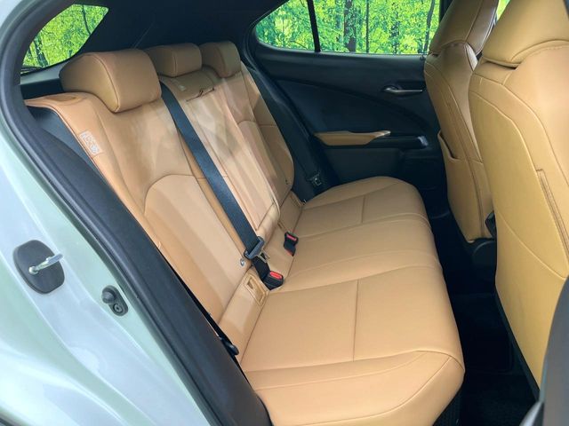 Lexus UX 10