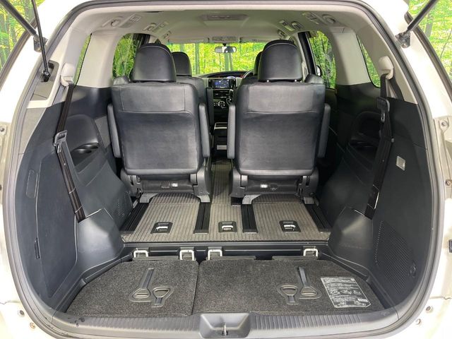 Toyota Estima 11