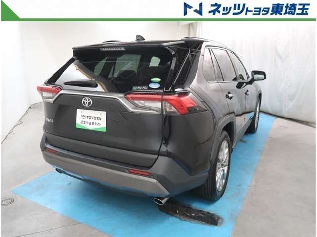 Toyota RAV4 6