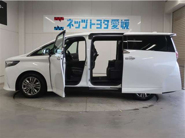 Toyota Alphard 9