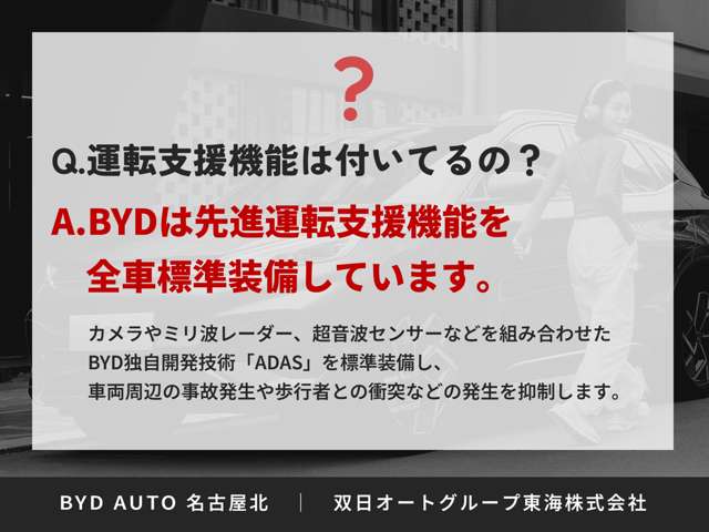 BYD BYDシーライオン6 12