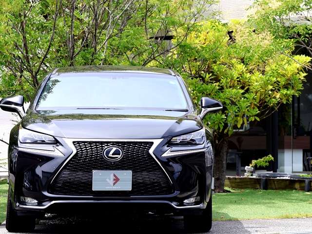 Lexus NX 6