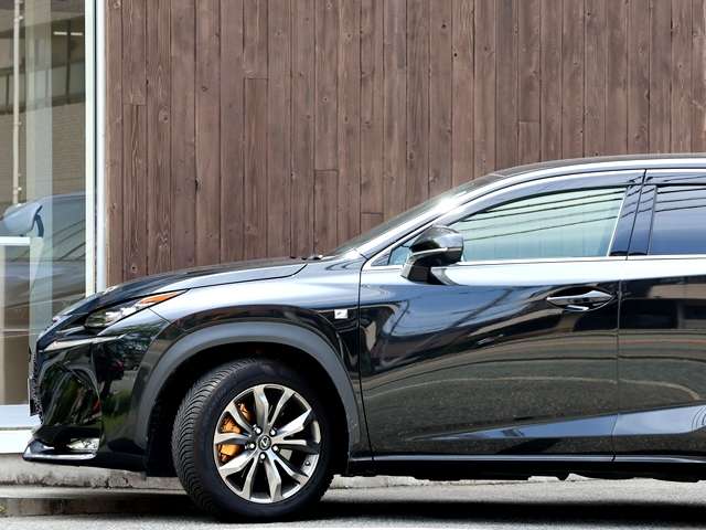 Lexus NX 7