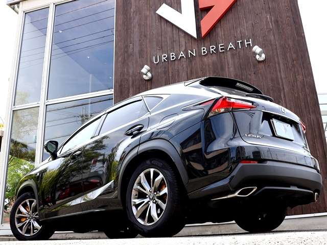 Lexus NX 8