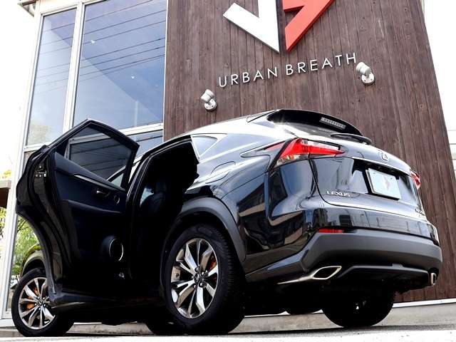 Lexus NX 9