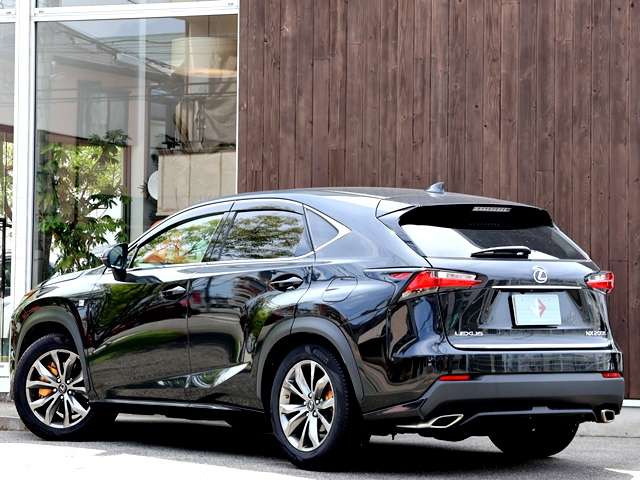 Lexus NX 10