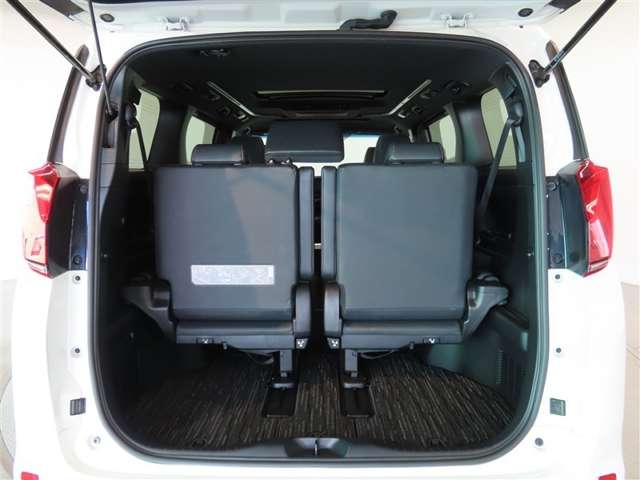 Toyota Alphard 9