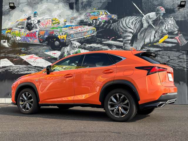 Lexus NX 11