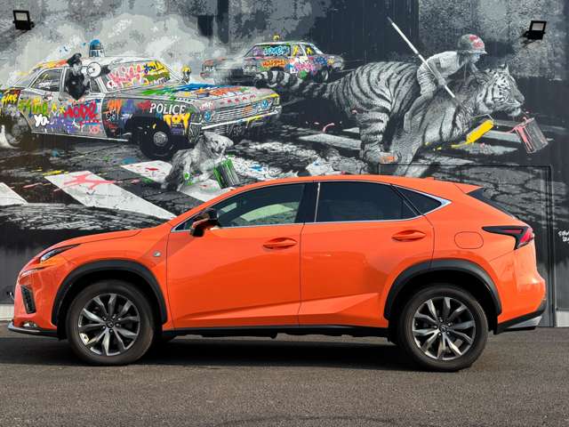 Lexus NX 12