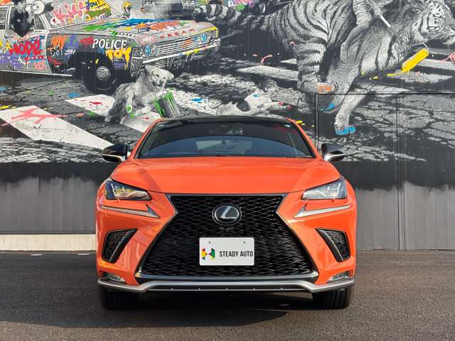 Lexus NX 6